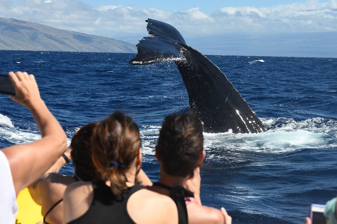 Maui: Ultimate Whale Watch from Lahaina - Hearing whale songs with the hydrophone