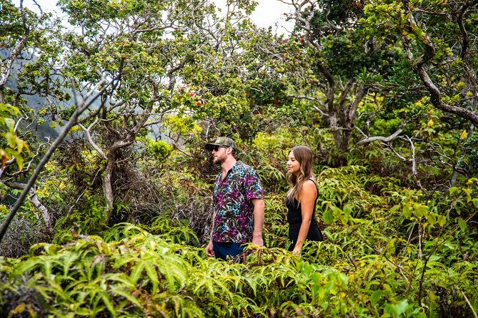 Maui: VIP Private Road to Hana Tour with Pick Up - Upper Waikani Falls is short but worthwhile