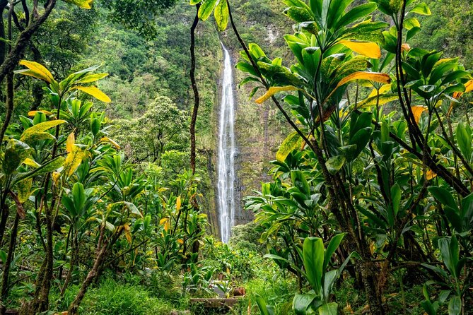 Maui: VIP Private Road to Hana Tour with Pick Up - Hana Gold adds a taste of local agriculture
