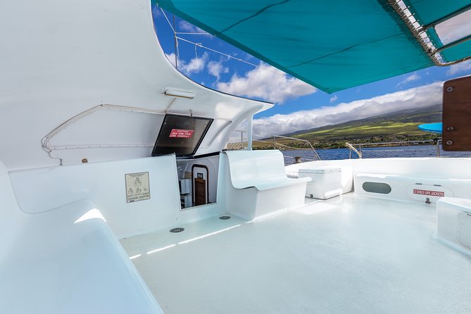 Maui: Whale Watching Cruise with Open Bar from Ka'anapali Beach - What makes the price reasonable