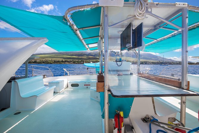 Maui: Whale Watching Cruise with Open Bar from Ka'anapali Beach - How to improve your chances of enjoying it