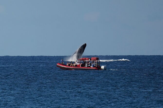 Maui Whale-Watching Tour by Raft from Kihei - Hearing whale song through the hydrophone