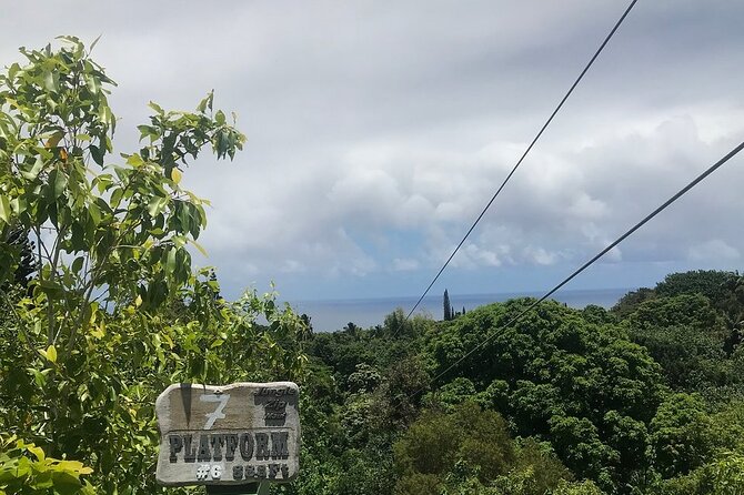 Maui Zipline Eco Adventure: 8 Lines through the Jungle - Eight Ziplines Through Haiku’s Tropical Interior