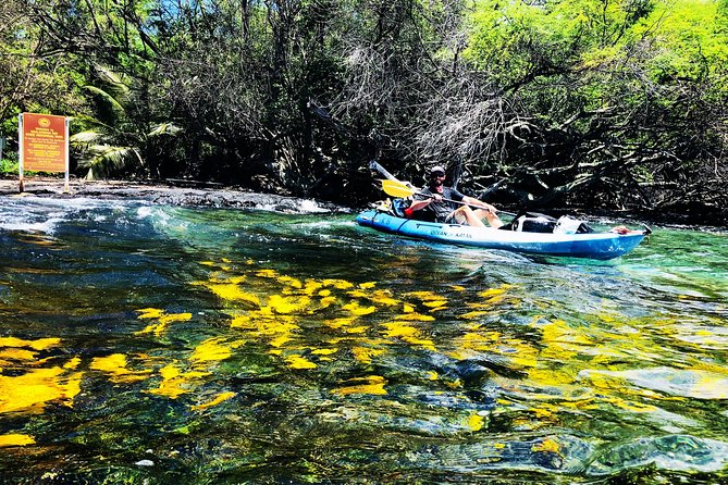 Midday Meander - Kealakekua Bay Kayak and Snorkel Adventure - From Napoopoo Pier to Captain Cook Monument