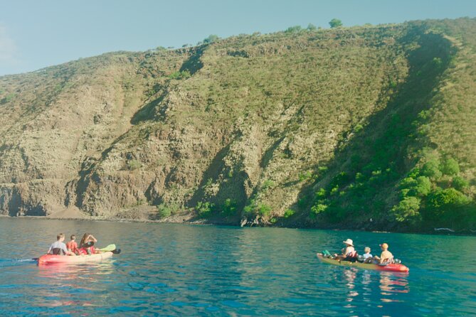 Midday Meander - Kealakekua Bay Kayak and Snorkel Adventure - The guides are a major part of the value