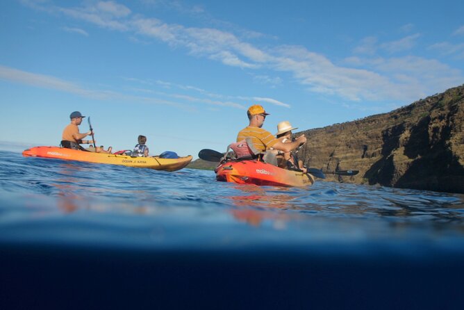 Midday Meander - Kealakekua Bay Kayak and Snorkel Adventure - What you receive, and what you should bring