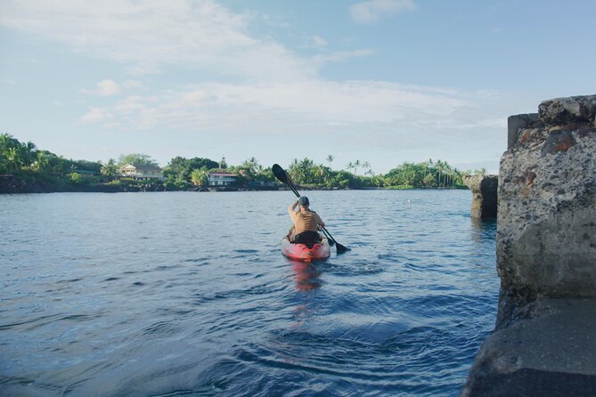 Midday Meander - Kealakekua Bay Kayak and Snorkel Adventure - Who will enjoy this most