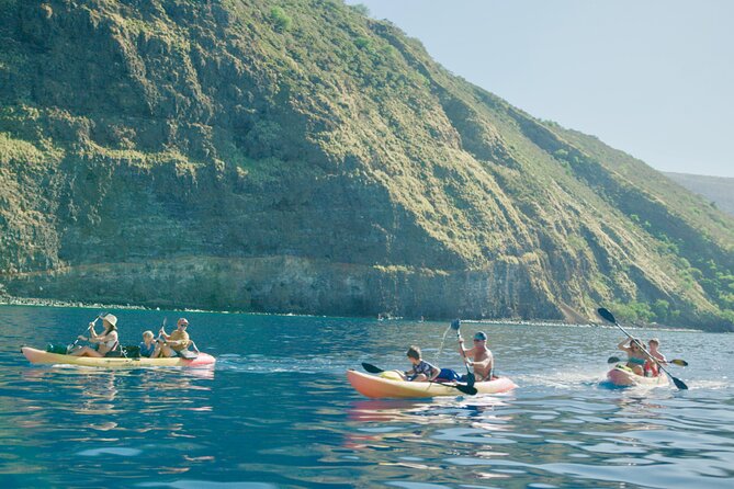 Midday Meander - Kealakekua Bay Kayak and Snorkel Adventure - Price, timing, and cancellation advice