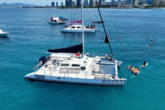 Moana’s Waikīkī Grand Guided Turtle Snorkel & Sailing Adventure - Sailing From Kewalo Basin Harbor