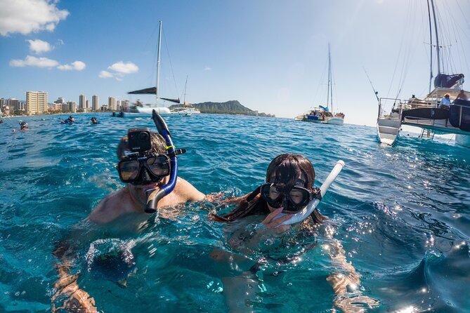 Moana’s Waikīkī Grand Guided Turtle Snorkel & Sailing Adventure - What the Snorkel Is Really Like