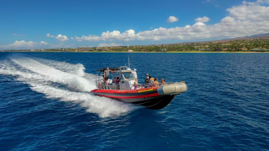 Molokini Crater Snorkel & Whale Watching (Dec 15 – Mar 30) - Key points at a glance