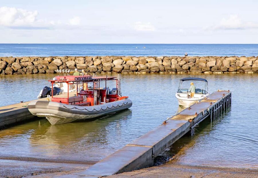 Molokini Crater Snorkel & Whale Watching (Dec 15 – Mar 30) - Snacks, drinks, and the return cruise