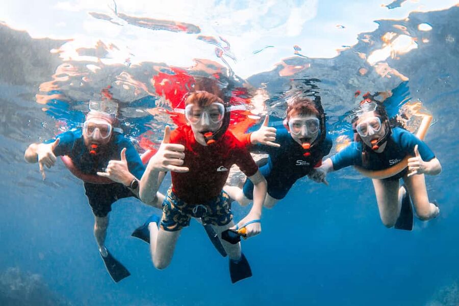 Molokini Crater Snorkel & Whale Watching (Dec 15 – Mar 30) - The crew makes the difference