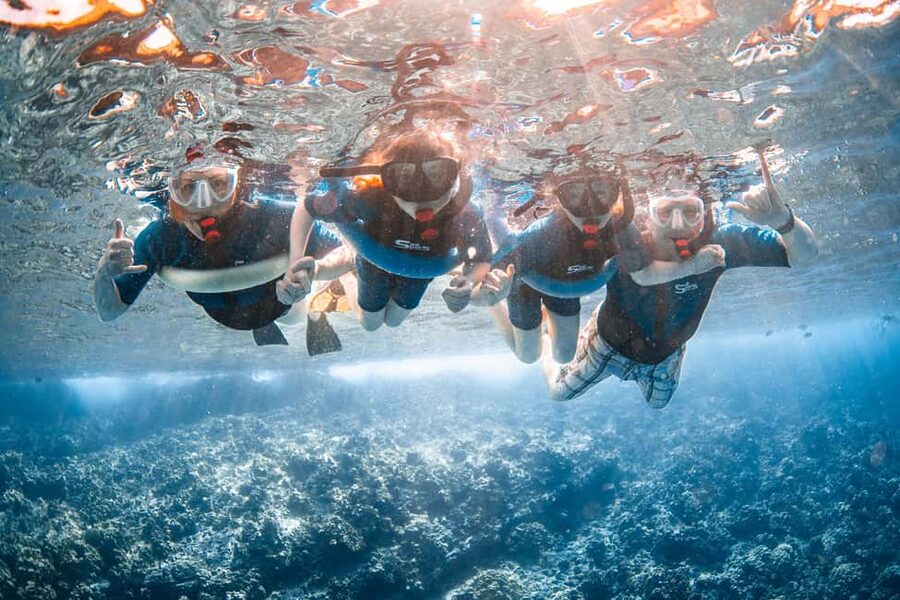 Molokini Crater Snorkel & Whale Watching (Dec 15 – Mar 30) - Practical value at $149