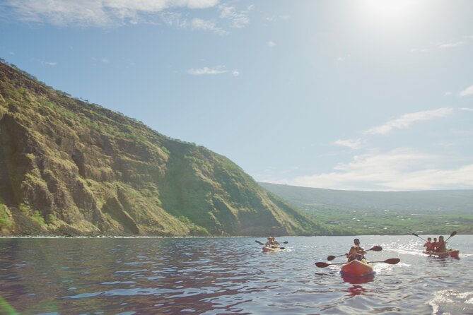 Morning Magic Kayak and Snorkel Adventure in Kealakekua Bay - Snorkeling among coral and fish