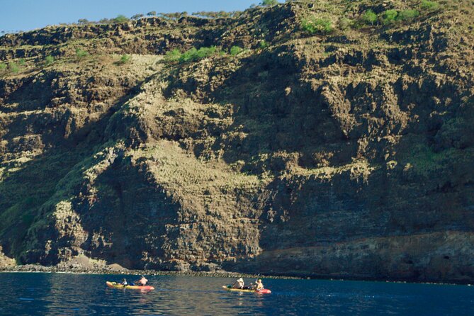 Morning Magic Kayak and Snorkel Adventure in Kealakekua Bay - Paddling across the protected bay