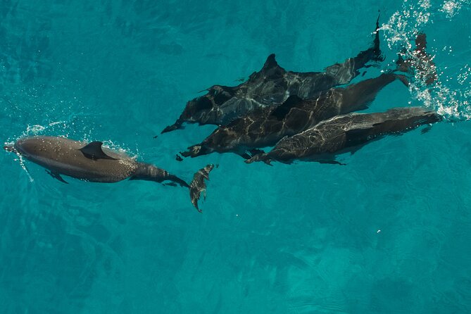 Na Pali Coast Half-Day Raft and Snorkel Adventure - Food, drinks, and the six-hour schedule