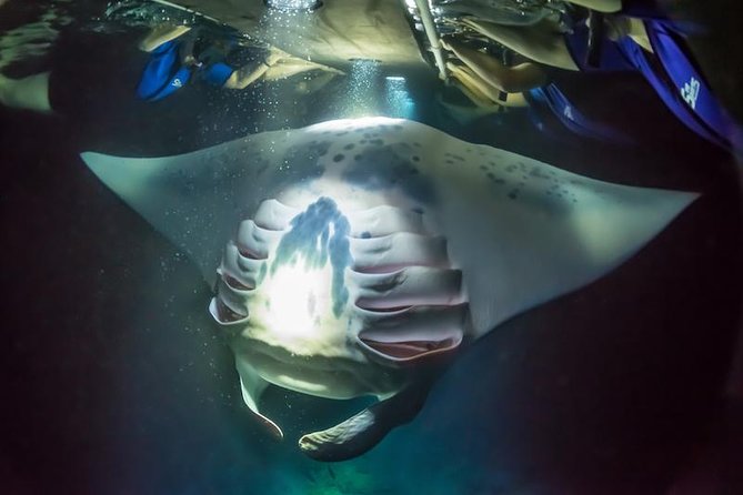 Night Manta Ray Experience - Meeting Sea Quest Hawaii in Kona