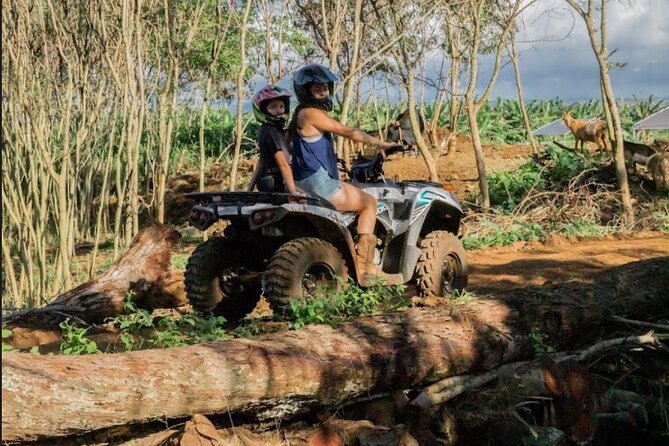 Oahu Beachfront ATV Adventure and Farm Tour - Who will enjoy this most?