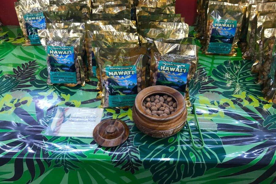 Oahu: Beauty and the Feast Circle Island Experience - Key points to know before booking