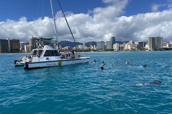 Oahu Catamaran Snorkel Tour: See Turtles 100% Guaranteed - Turtle Canyon makes a smart short Oahu outing