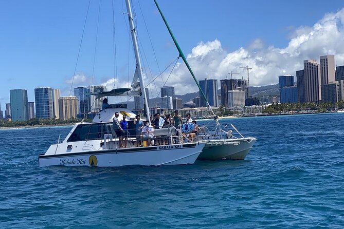 Oahu Catamaran Snorkel Tour: See Turtles 100% Guaranteed - Dolphins, whales, monk seals, and surprise sightings