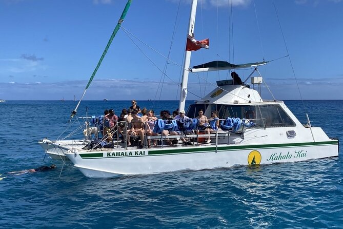 Oahu Catamaran Snorkel Tour: See Turtles 100% Guaranteed - Is $49.95 a good price?