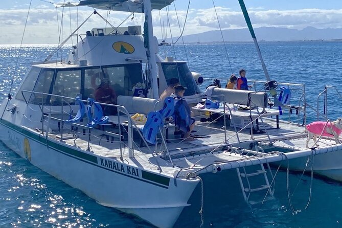 Oahu Catamaran Snorkel Tour: See Turtles 100% Guaranteed - What happens at Turtle Canyon Reef
