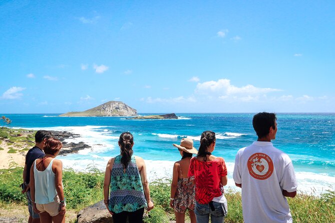 Oahu Circle Island Full Day Tour with Scenic Stops & Local Foods - Puaʻena Point and the chance to spot sea turtles