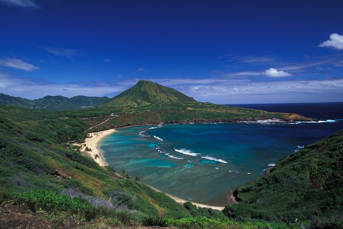 Oahu Circle Island Small Group Tour - Kahuku shrimp and the North Shore