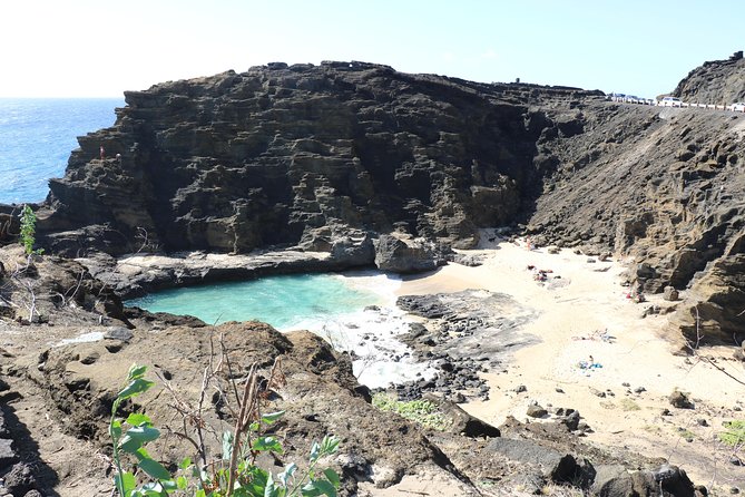 Oahu Circle Island Small Group Tour - Haleiwa, shave ice, and Dole Plantation