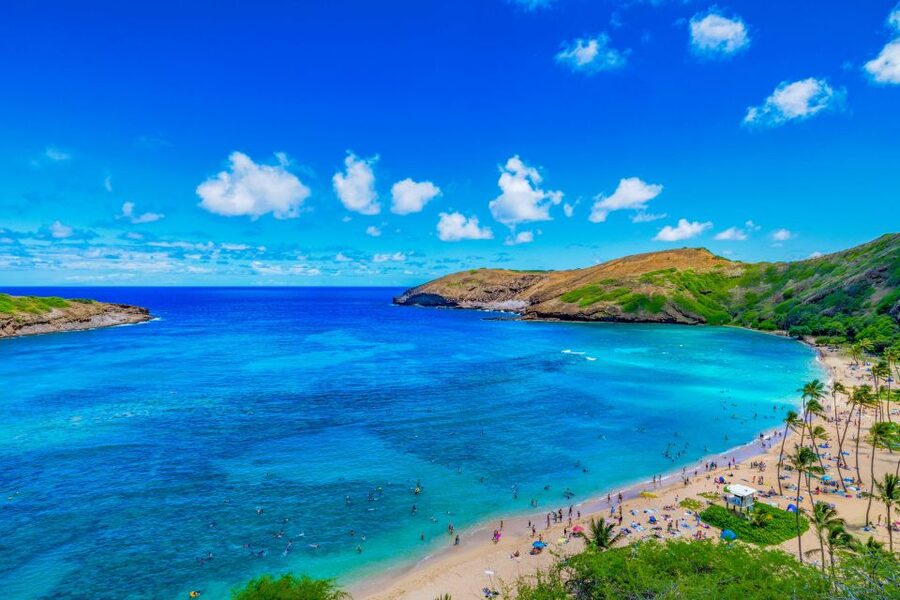 Oahu: Circle Island Top Sights Full-Day Tour w/ Local Guide - What this Oahu circle tour really offers