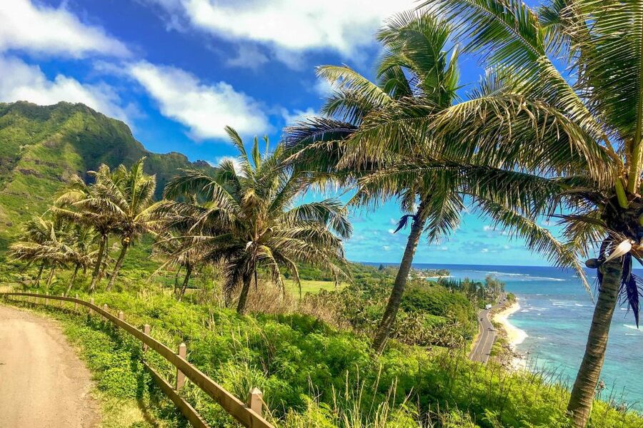 Oahu: Circle Island Top Sights Full-Day Tour w/ Local Guide - North Shore surf beaches are best seen with context