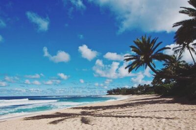 Oahu Circle Island Tour with Turtle Snorkeling— Small-Groups