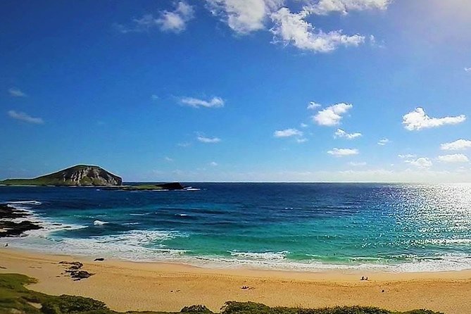 Oahu Circle Island Tour with Turtle Snorkeling— Small-Groups - Turtle snorkeling on the North Shore
