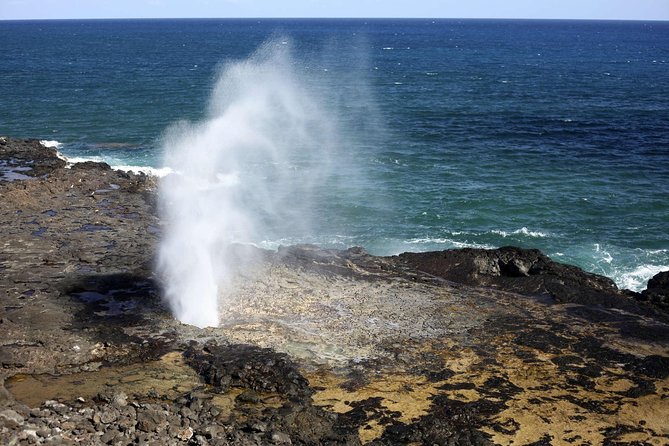 Oahu Circle Island Tour with Waimea Waterfall - Nuʻuanu Pali and the Koʻolau Mountains