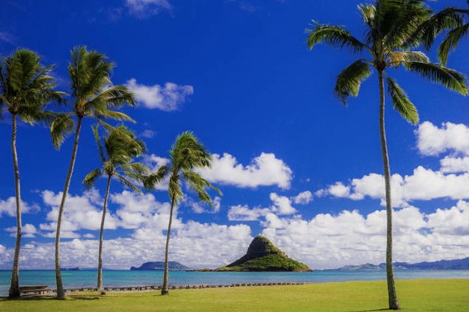 Oahu Circle Island Tour with Waimea Waterfall - Coffee, macadamia nuts, and Kualoa’s movie country