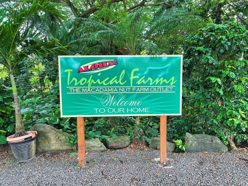 Oahu: Diamond Head Crater Hike and North Shore Experience - Kualoa Regional Park offers a brief view