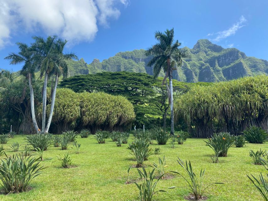 Oahu: Diamond Head Crater Hike and North Shore Experience - Kahuku Sugar Mill is the practical lunch stop