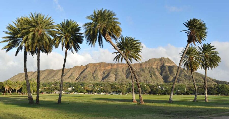Oahu: Diamond Head Hike with Roundtrip Transportation - The summit payoff over Waikiki and the Pacific