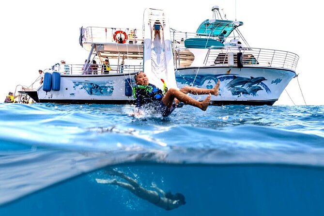 Oahu Dolphin and Snorkel Tour with Waikiki Pickup & Lunch - West Oahu dolphins, turtles, and a floating playground