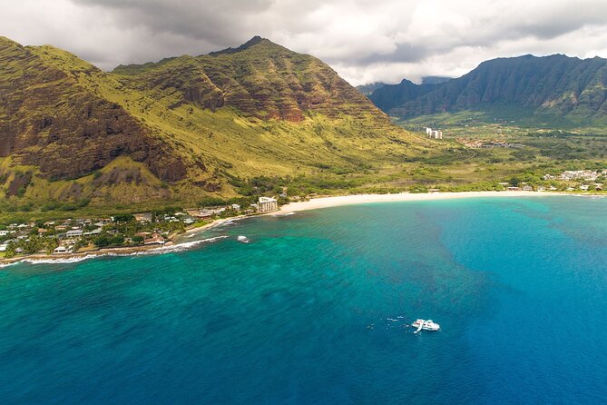 Oahu Dolphin and Snorkel Tour with Waikiki Pickup & Lunch - Snorkeling near Hawaiian green sea turtles