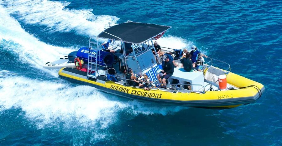 Oahu: Dolphin Swim and Turtle Snorkel Excursion in Waianae - Why the Waianae Coast makes this more than a standard snorkel trip