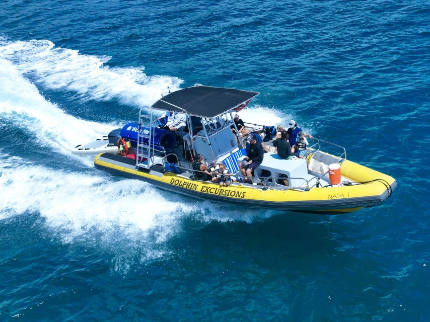 Oahu: Dolphin Swim and Turtle Snorkel Excursion in Waianae - Lunch and small comforts improve the value