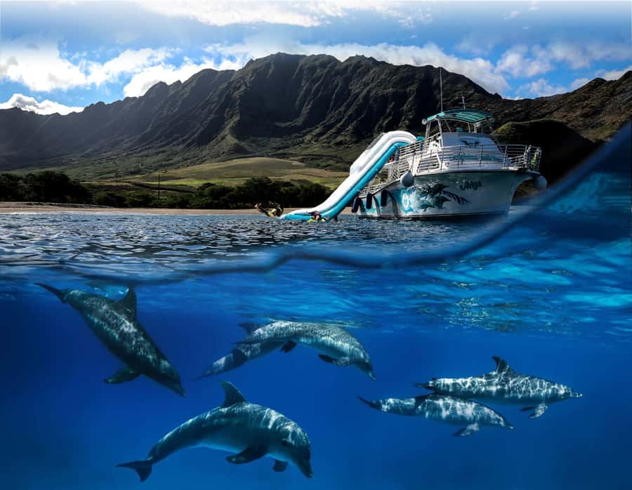 Oahu: Dolphin Watching & Turtle Snorkeling with Waterslide - Why the west coast makes this cruise special