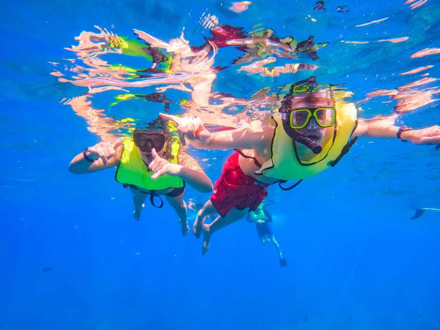 Oahu: Dolphin Watching & Turtle Snorkeling with Waterslide - Who will enjoy this three-hour outing most