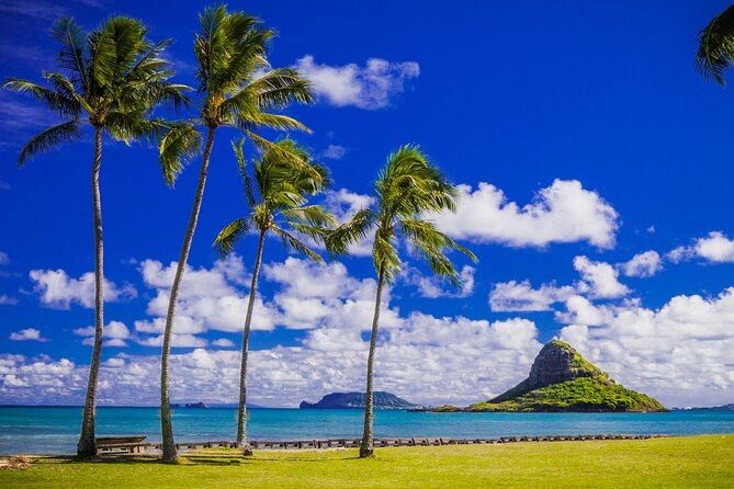 Oahu Grand Circle Island and Haleiwa Tour: 9-Hr Deluxe Experience - Byodo-In Temple brings a quiet change of pace