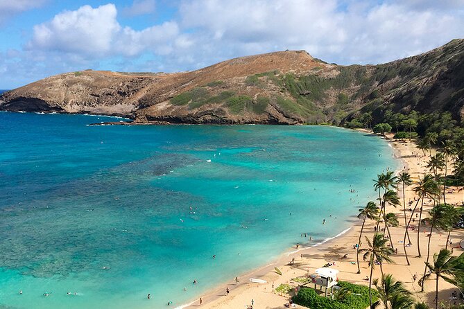 Oahu Grand Circle Island and Haleiwa Tour: 9-Hr Deluxe Experience - Dole Plantation, pineapples, and a final sweet stop