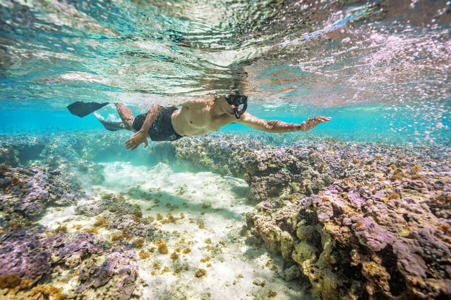 Oahu : Hanauma Bay Admission Ticket+Equipment Rental - Key Points Before You Book
