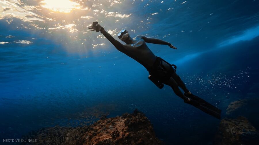 Oahu : Hanauma Bay Admission Ticket+Equipment Rental - Getting to the Bay Without Included Transportation